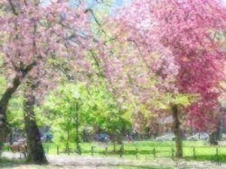 spring04ghjjhhghgjhgj.jpg